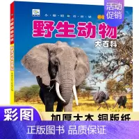 野生动物大百科(铜版纸加厚本) [正版]儿童百科全书注音版科普启蒙绘本类图画恐龙动物世界大百科海底海洋生物鱼昆虫小鸟类带