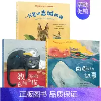 塞普尔维达童话3册:猫+狗+白鲸 [正版]教海鸥飞翔的猫+白鲸的故事+一只名叫忠诚的狗 塞普尔维达童话 智利儿童文学书