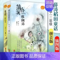 [正版]薛涛稻田童话全2册像青蛙一样长大蒲公英收购站注音版一二年级卡通故事少儿儿童文学图书籍小学课外阅读书籍青岛出版社