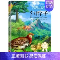 [正版] 红脖子/典动物小说 [加]欧内斯特·汤普森·西顿 著 安东尼 译 绘画/漫画/连环画/卡通故事少儿 缓解阅读疲