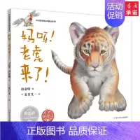 [正版]妈呀老虎来了 儿童精装绘本0-1-2-3-6岁婴儿卡通漫画图画书籍 宝宝亲子读物 幼儿园启蒙认知早教书儿童成长故