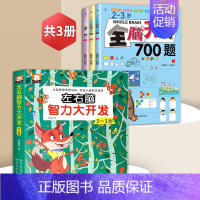 [2-3岁]全脑开发+左右脑智力大开发(共4册) [正版]全脑开发700题1000题2-3岁早教书幼儿智力开发幼儿园数学