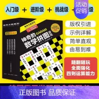 神奇的数学拼图[全4册] 小学通用 [正版]赠视频 挑战数学初级中级高级共14册 幼小衔接儿童启蒙举一反三思维训练你好这