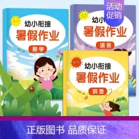 幼小衔接暑假作业全3册 小学通用 [正版]赠视频 挑战数学初级中级高级共14册 幼小衔接儿童启蒙举一反三思维训练你好这就