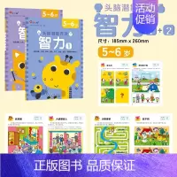 头脑潜能开发.智力5-6岁 全2册 [正版]头脑潜能开发 智力 数学 迷宫2-3-4-6周岁儿童益智书智力专注力逻辑思维