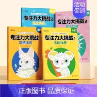 [全套4本]入门+初级+中级+高级 [正版]专注力大挑战魔法线条入门初级中高级左右脑开发注意力思维训练书6岁以上魔线书籍