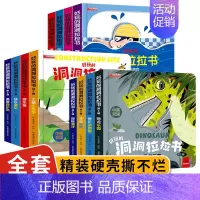 好玩的洞洞拉拉书 全套12册 [正版]好玩的洞洞拉拉书全套4册 精装硬壳绘本0到3岁儿童益智启蒙早教书婴幼儿推拉书2岁宝