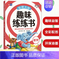 趣味练练书—数学 [正版]直营越玩越聪明 聪明大脑趣味练练书 幼小衔接 学前教育 亲子绘本 儿童思维训练 益智游戏 阶梯