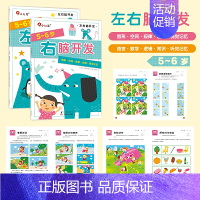 左右脑开发 5-6岁(全2册) [正版]全脑开发700题儿童思维训练2-3岁全脑开发三岁宝宝数学逻辑书本两岁幼儿益智游戏