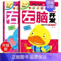 [正版]全2册左右脑全脑开发3-4岁 幼儿书籍3-4-5-6岁宝宝益智左右脑开发逻辑思维全脑思维训练儿童专注力训练游戏早