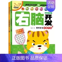 [正版]全2册左右脑全脑开发2-3岁幼儿书籍宝宝益智左右脑开发逻辑创造性思维训练儿童专注力训练游戏早教书数学思维书幼儿多