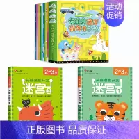 全套12册[2-3岁]迷宫+[不分年龄]专注力训练 [正版]迷宫训练书3-4-5-6岁 专注力训练注意力训练走迷宫的书大