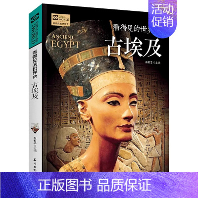 [正版]古埃及看得见的世界史古印度古希腊古罗马巴比伦玛雅彩图版 青少年历史知识百科成人版历史普及读物文明古国历史故事书籍