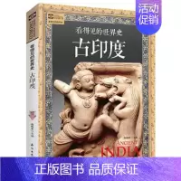 [正版]看得见的世界古印度史彩图版全球通史青少年历史知识百科成人版历史普及读物古文明故事图说天下石油工业出版社