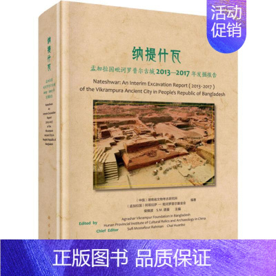 [正版]纳提什瓦:孟加拉国毗诃罗普尔古城2013-2017年发掘报告 历史类知识读物图书 书籍