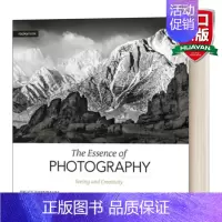 摄影精髓 第二版 视觉与创造力 [正版]改变摄影的100个想法点子 英文原版 100 Ideas that Change