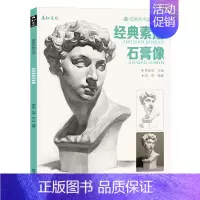[正版]经典素描石膏像五官结构头像临摹范本人头像人物美术生艺考联考肖像画册画画入门照片精选书籍亚历山大伏尔泰小卫头骨教程