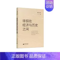 [正版]徘徊在经济与历史之间 广西师范大学出版社 俞炜华 著 经济理论