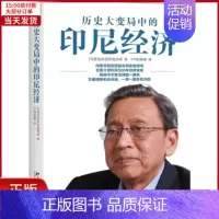 [正版]全新 历史大变局中的印尼经济 经济/经济理论 9787301286371