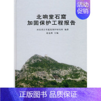 [正版] 北响堂石窟加固保护工程报告 河北省古代建筑保护研究所著,赵仓群 历史 文物考古 考古理论 书籍 科学出版社