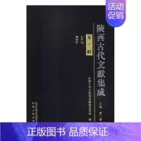 [正版]陕西古代文献集成第十辑 贾三强 地方史志 书籍