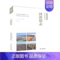[正版]正邮 河洛镇志郑州市地方史志办公室书店历史书籍 读乐尔书