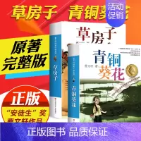 青铜葵花+草房子全2册 [正版]文轩青铜葵花 曹文轩纯美小说系列草房子根鸟狗牙雨蜻蜓眼红瓦黑瓦四五年级课外阅读儿童文学故