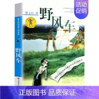 野风车 [正版]文轩青铜葵花 曹文轩纯美小说系列草房子根鸟狗牙雨蜻蜓眼红瓦黑瓦四五年级课外阅读儿童文学故事书籍江苏凤凰少