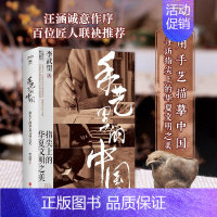 [正版]手艺里的中国(指尖上的华夏文明之美)李武望著 中国文化民俗书籍传统文化 非物质文化遗产书籍 读懂中国传统文化的美