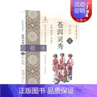 [正版] 苍洱灵秀白族 中华民族文化大系书籍中国传统地域民俗文化读本研究学术成果涉及地理历史经济艺术语言上海锦绣文章