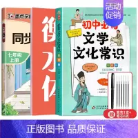 7年级同步(语文+英语)上册+初中必背文化文学常识 [正版]七年级八年级初中生语文同步字帖上册下册人教版小升初衡水体英语