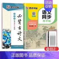 7年级语文同步(下册)+初中古诗文 [正版]七年级八年级初中生语文同步字帖上册下册人教版小升初衡水体英语初一二正楷书钢笔
