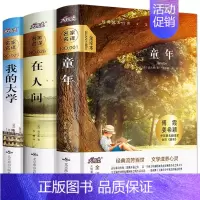 [全3册]高尔基三部曲 [正版]童年 人民教育出版社 高尔基原著人教版 爱的教育小英雄雨来五六年级上册必的课外书小学生阅