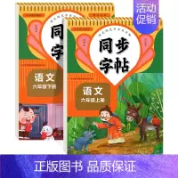 [6年级上册+下册]语文同步字帖 [正版]人教版字帖二年级上册同步练字帖三四年级五年级六年级上册下册语文同步字帖每日一练
