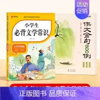 [全2册]作文金句800例+小学生必背文学常识 小学通用 [正版]作文金句800例高分作文素材范文优美句子积累大全小学三