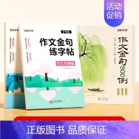 [全3册]作文金句800例+作文金句练字帖 小学通用 [正版]作文金句800例高分作文素材范文优美句子积累大全小学三四五