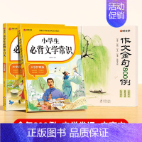 [全3册]作文金句800例+必背文言文+文学常识 小学通用 [正版]作文金句800例高分作文素材范文优美句子积累大全小学