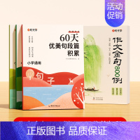 [全5册]作文金句800例+60天优美句段 小学通用 [正版]作文金句800例高分作文素材范文优美句子积累大全小学三四五