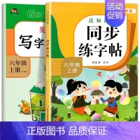 [6年级上册]语文同步练字帖+英语字帖 [正版]量大优惠一年级练字字帖二年级三四五六年级上册下册同步练字帖每日一练小学生