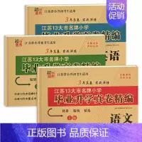 [3本]语文+数学+英语(苏教版) 小学升初中 [正版]2024版小升初江苏省小学毕业升学考试试卷真题卷精编语文人教数学