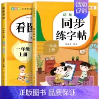 [1年级上册]语文同步练字帖+看图写话 [正版]量大优惠一年级练字字帖二年级三四五六年级上册下册同步练字帖每日一练小学生