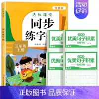 [5年级上册]语文同步练字帖+优美句子字帖 [正版]量大优惠一年级练字字帖二年级三四五六年级上册下册同步练字帖每日一练小
