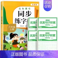 [6年级上册]语文同步练字帖+优美句子字帖 [正版]量大优惠一年级练字字帖二年级三四五六年级上册下册同步练字帖每日一练小