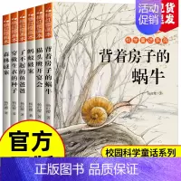 [全6册]杨红樱科学童话系列 [正版]全3册 冰心儿童文学全集原著三部曲繁星春水寄小读者橘小桔灯三四五六年级小学生课外必