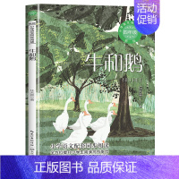 牛和鹅(任大霖散文选) [正版]四年级上册阅读课外书必课内作家作品全套一只窝囊的大老虎叶至善牛的写意著猎人笔记传统节日故