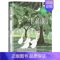 牛和鹅(任大霖散文选) [正版]四年级上册阅读课外书必课内作家作品全套一只窝囊的大老虎叶至善牛的写意著猎人笔记传统节日故