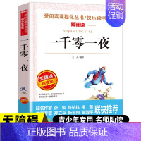 [五年级上册阅读]一千零一夜 [正版]一千零一夜五年级上册必读的课外书必 快乐读书吧5上阅读书籍 田螺姑娘精选全集欧洲非