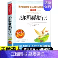 [五年级选读]尼尔斯骑鹅旅行记 [正版]一千零一夜五年级上册必读的课外书必 快乐读书吧5上阅读书籍 田螺姑娘精选全集欧洲
