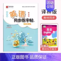 三年级[上册]英语同步练字帖 小学通用 [正版]译林版小学生英语衡水体字帖三年级英语四五六年级译林版同步练字帖英语训练英