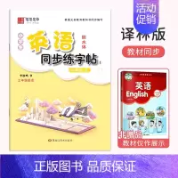 六年级[上册]英语同步练字帖 小学通用 [正版]译林版小学生英语衡水体字帖三年级英语四五六年级译林版同步练字帖英语训练英